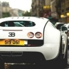 beast